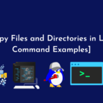 How to Copy Files and Directories in Linux [14 cp Command Examples]