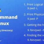 15 ‘pwd’ (Print Working Directory) Command Examples in Linux