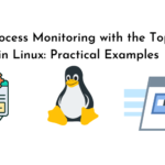 Mastering Process Monitoring with the Top Command in Linux Practical Examples