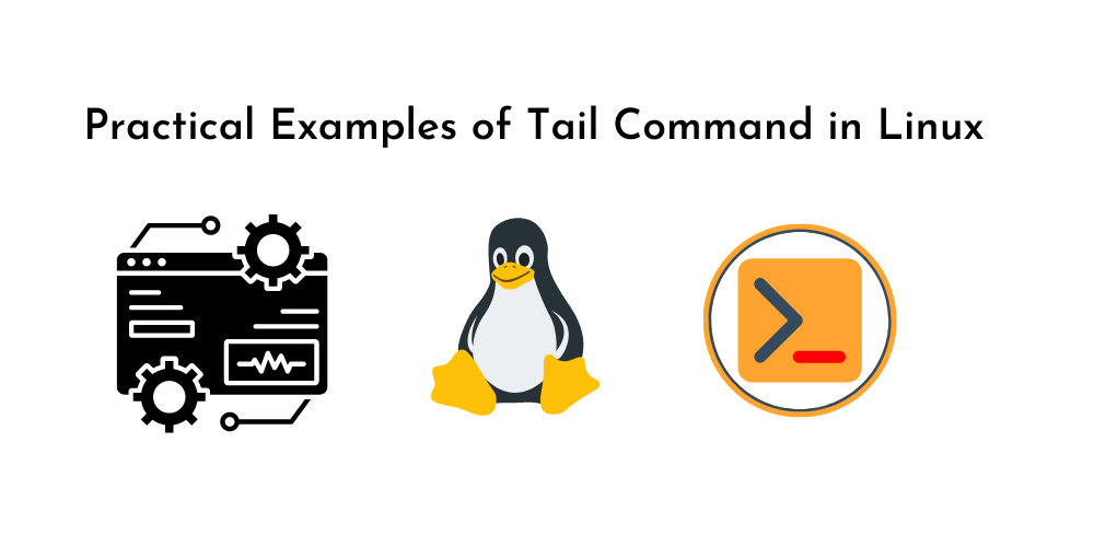 Practical Examples of Tail Command in Linux